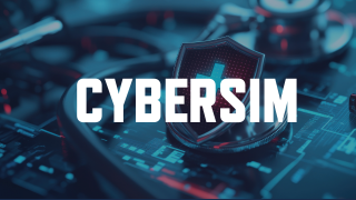 Emergency Medicine CyberSim video collection